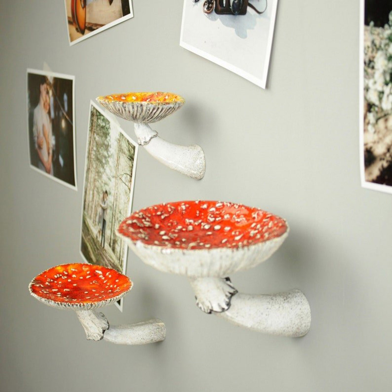 2024 Creative Resin Mushroom-H - Floating Shelves 리뷰 및 가격