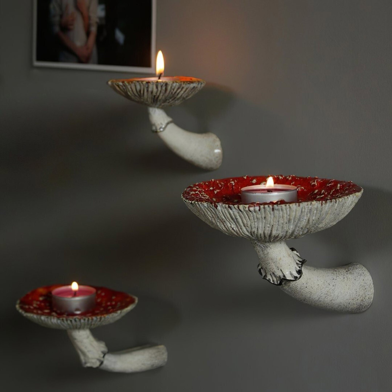 2024 Creative Resin Mushroom-H - Floating Shelves 리뷰 및 가격