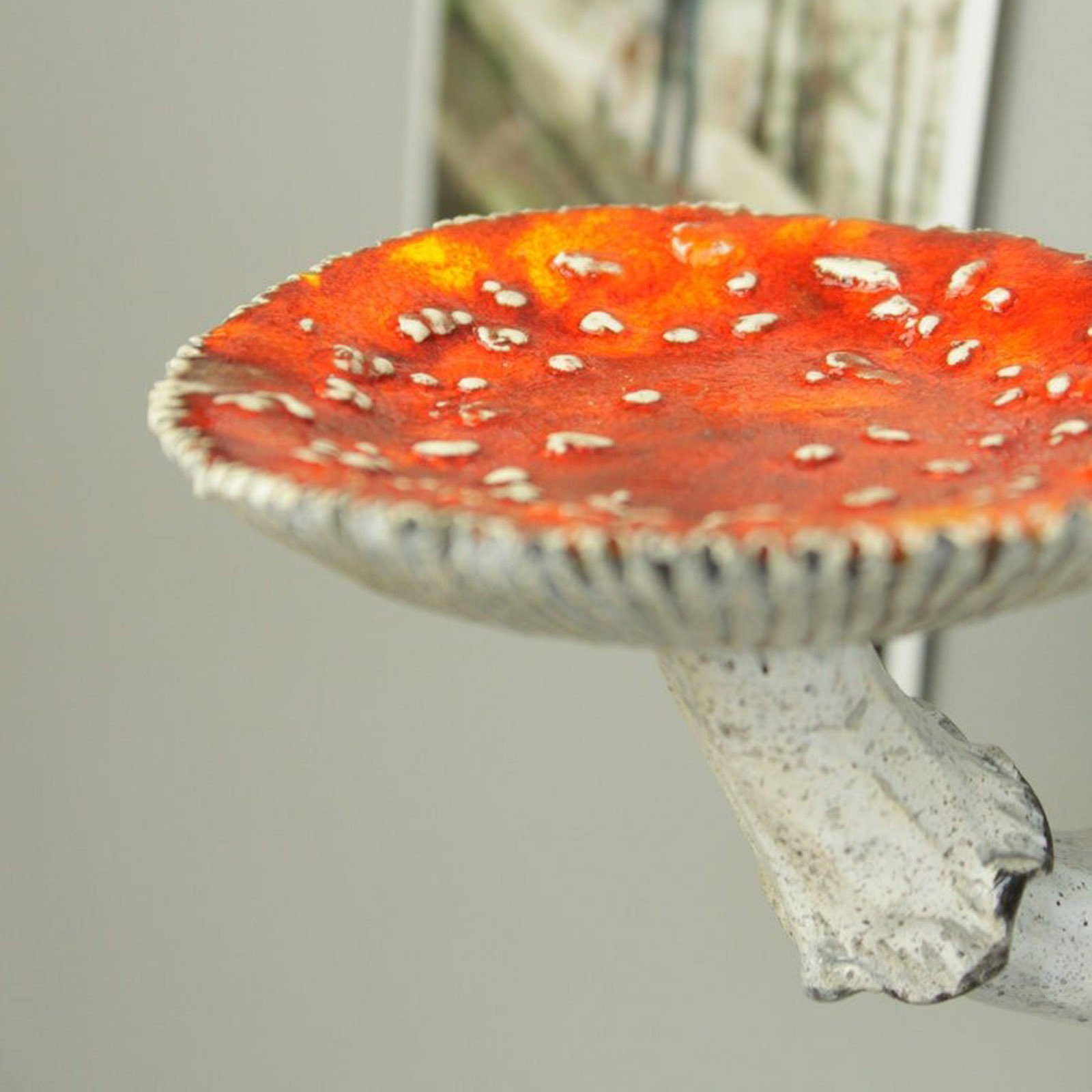 2024 Creative Resin Mushroom-H - Floating Shelves 리뷰 및 가격