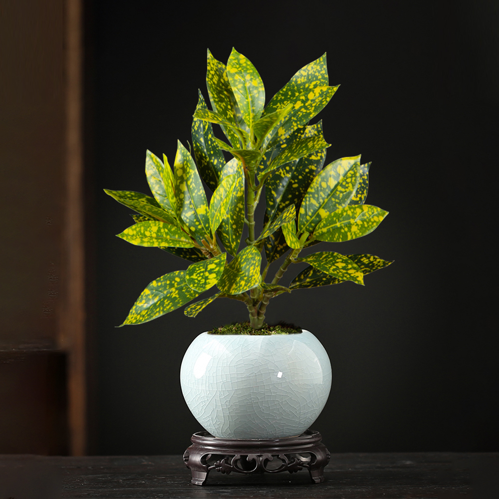 24-41cm Artificial Ficus Tree  - Victory Home Decor 리뷰 및 가격