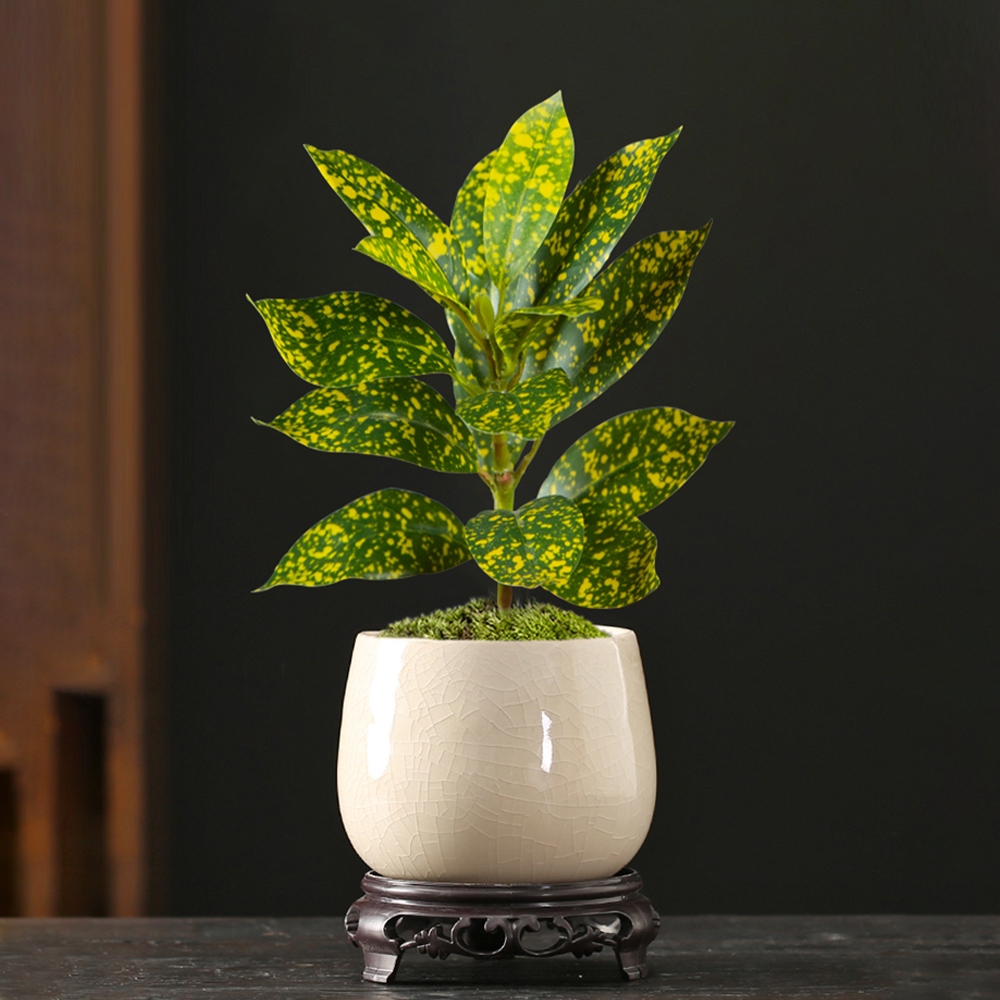 24-41cm Artificial Ficus Tree  - Victory Home Decor 리뷰 및 가격