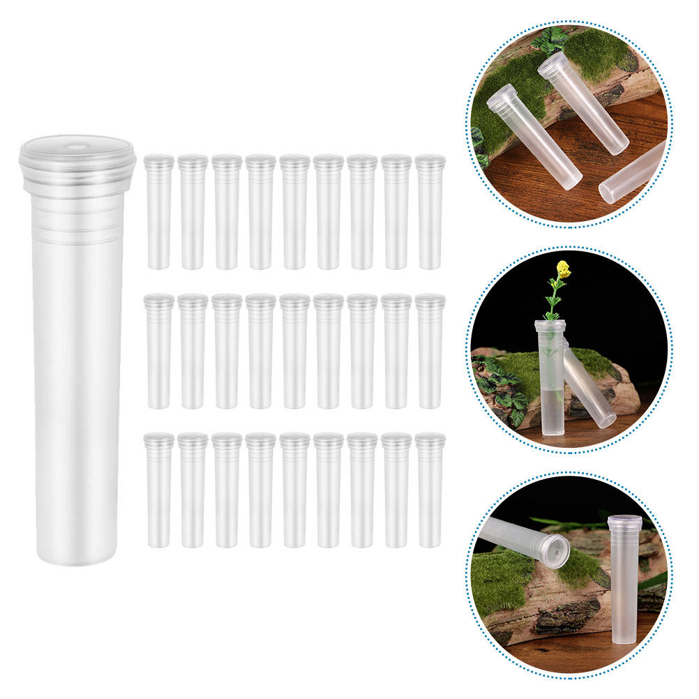 100Pcs Transparent Hydroponic  - Home Decor Vase With Flowers 리뷰 및 가격