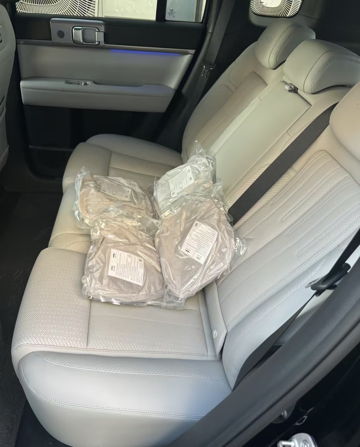 OEM Headrest Pillow for Leopar - Decorative Throw Pillow 리뷰 및 가격