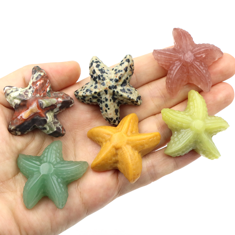 35mm Starfish Shape Statue Mar - Home Decor Company 리뷰 및 가격