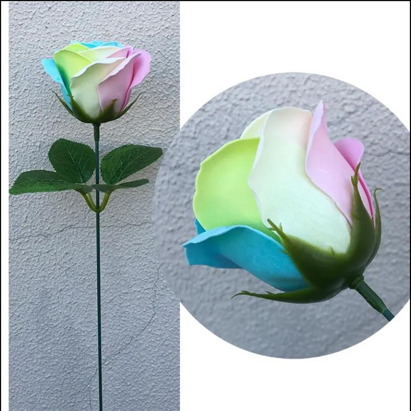 Spilewka 6X7cm Colorful Rose A - Home Decor Happy 리뷰 및 가격