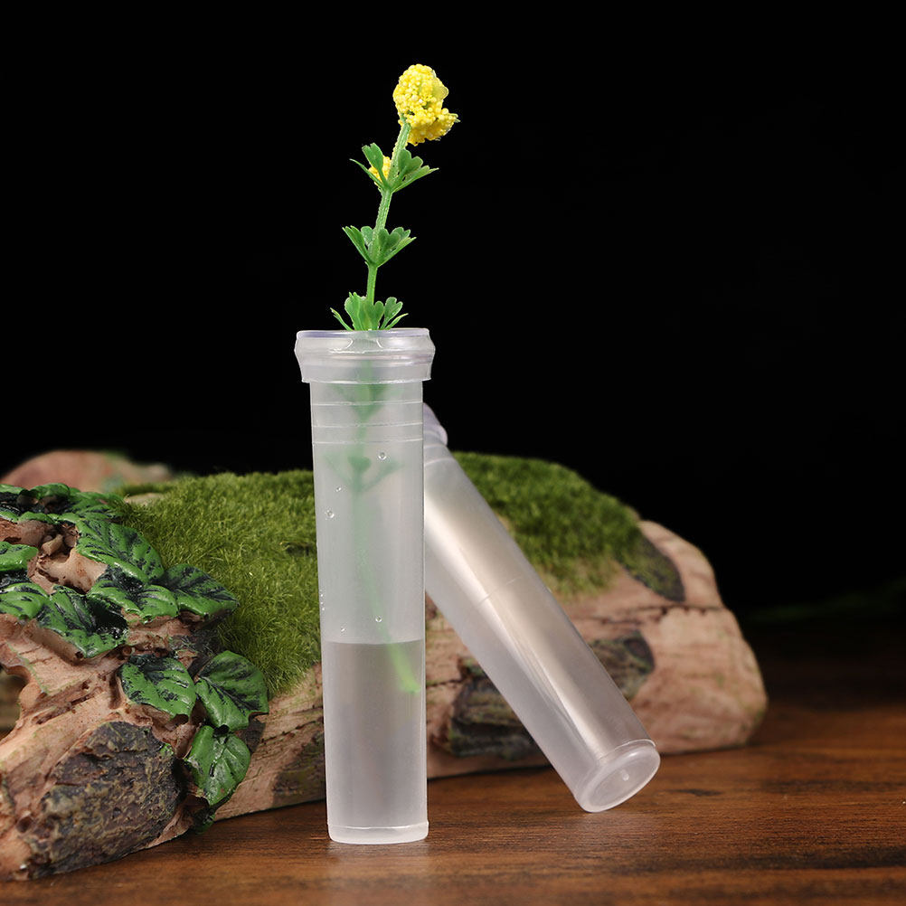 100Pcs Transparent Hydroponic  - Home Decor Vase With Flowers 리뷰 및 가격